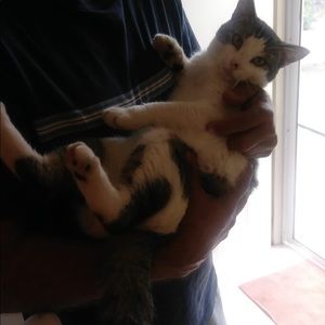 Meet your Posher, Lilly